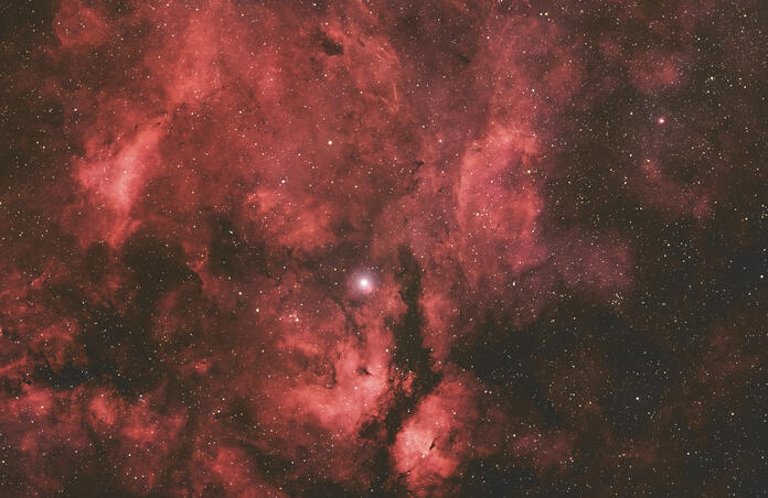 The Sadr Region (also known as IC 1318)