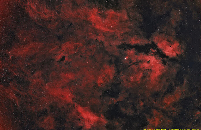 Area Surrounding Gamma Cygnus - note the Butterfly Nebula (IC 1318) in the upper right of the image