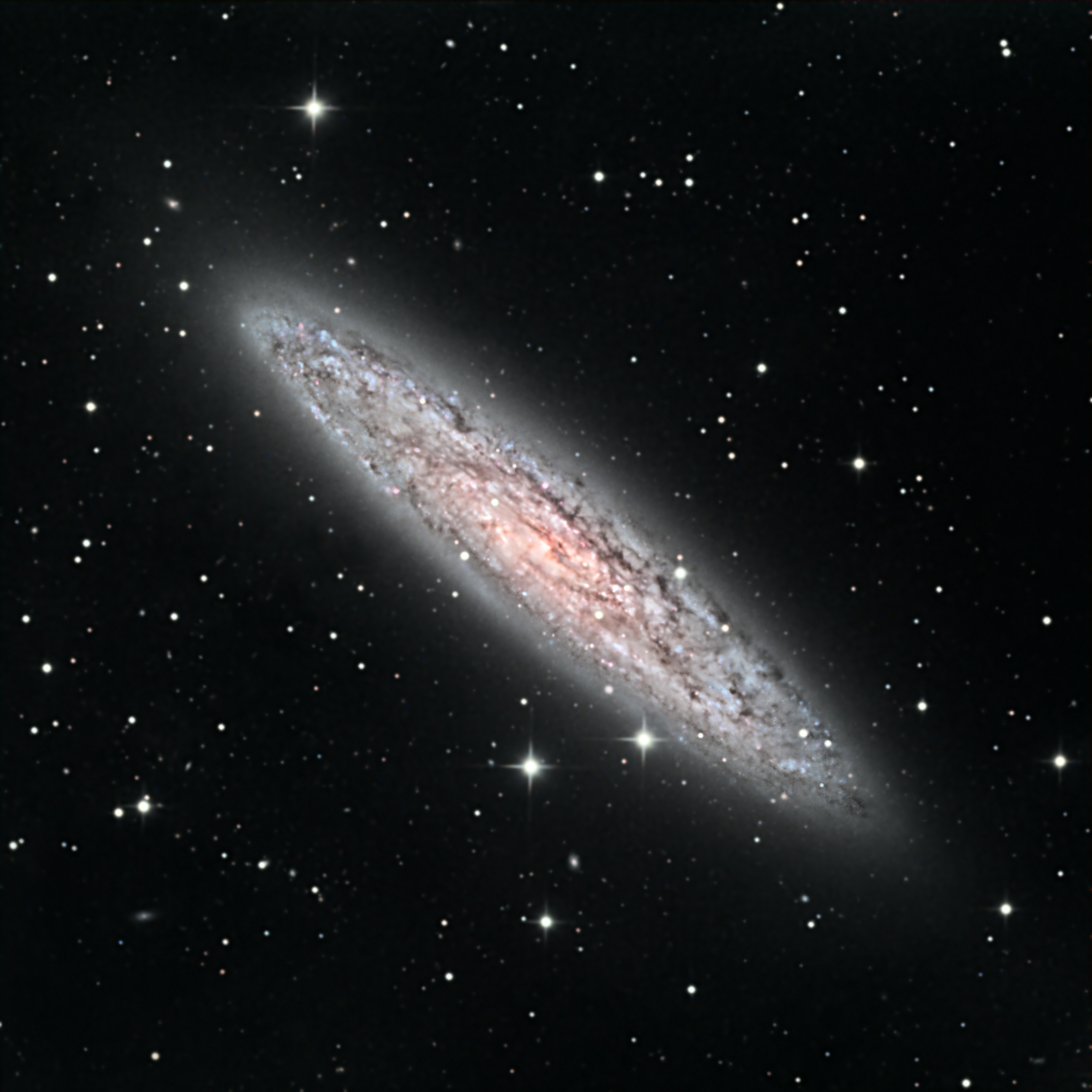 NGC 253 The Sculptor Galaxy | Telescope Live