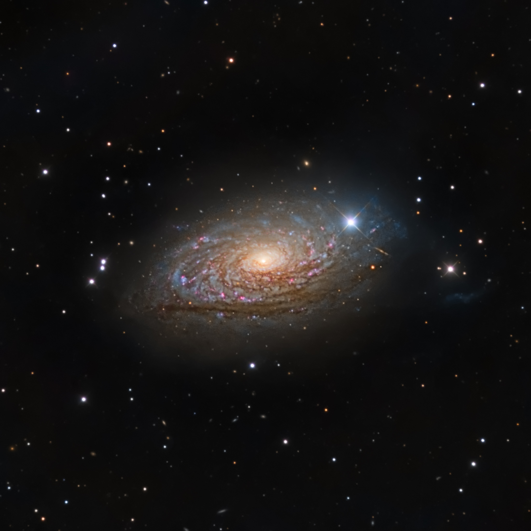 The Sunflower Galaxy (M63) | Telescope Live
