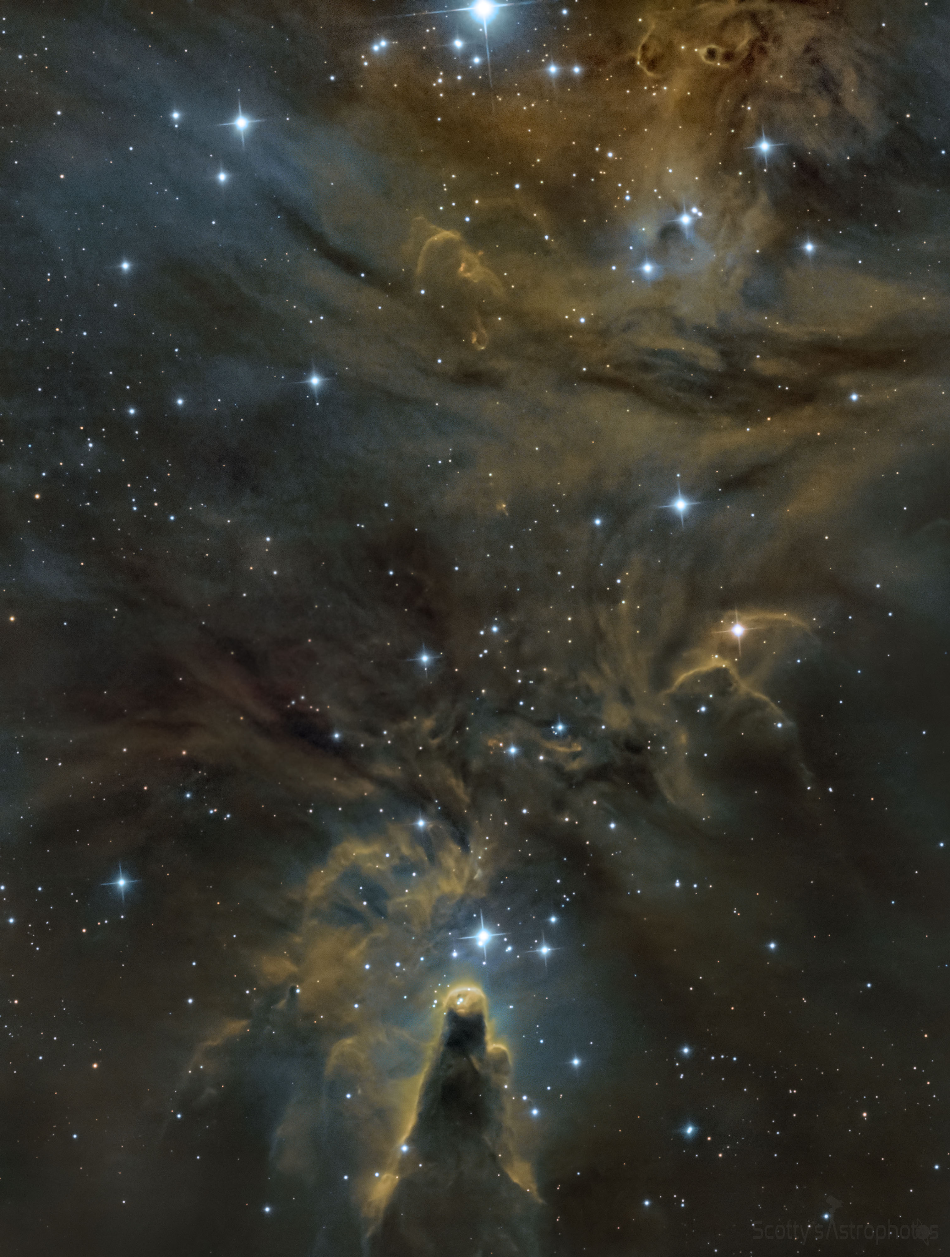 Cone Nebula Mosaic | Telescope Live