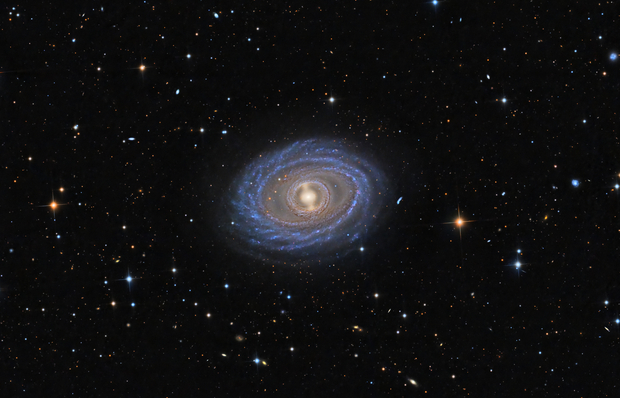 NGC1398