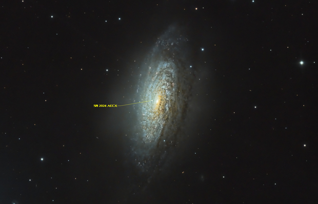 Supernova SN2024aecx in NGC 3521