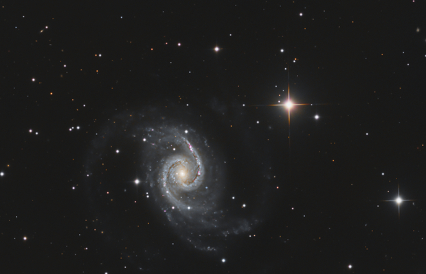 NGC 1566