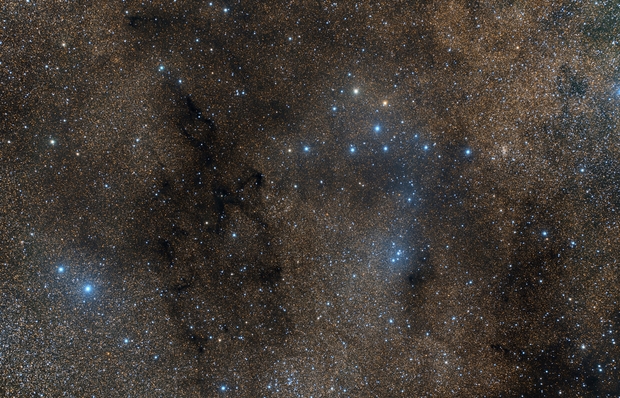 The Coathanger (Brocchi's Cluster)