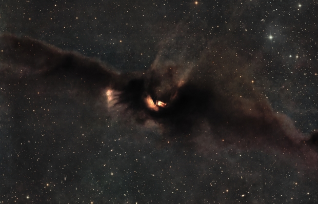 The Cosmic Bat