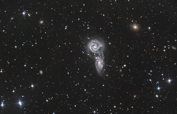 Arp 271