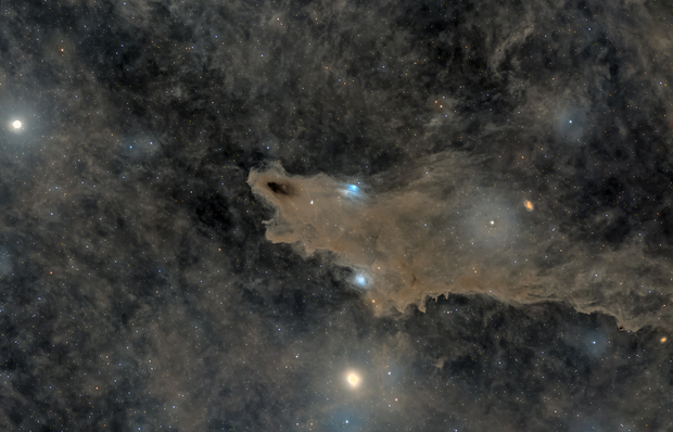 LDN 1235, the Dark Shark Nebula