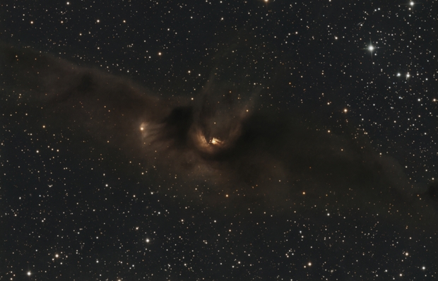 LDN43  Cosmic Bat nebula aka The Silent Assassin 