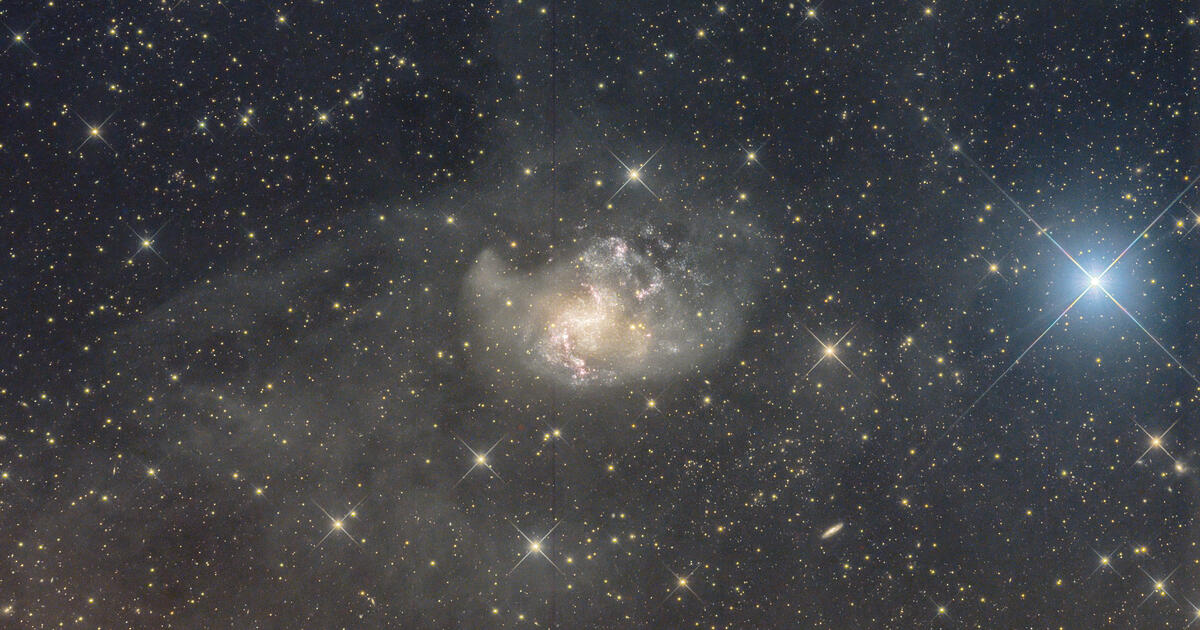 Ngc 1313 Telescope Live