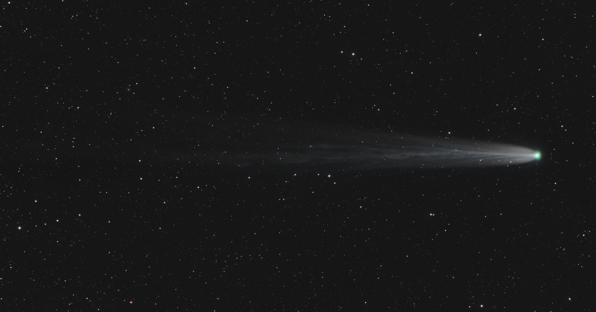 Comet Leonard Telescope Live