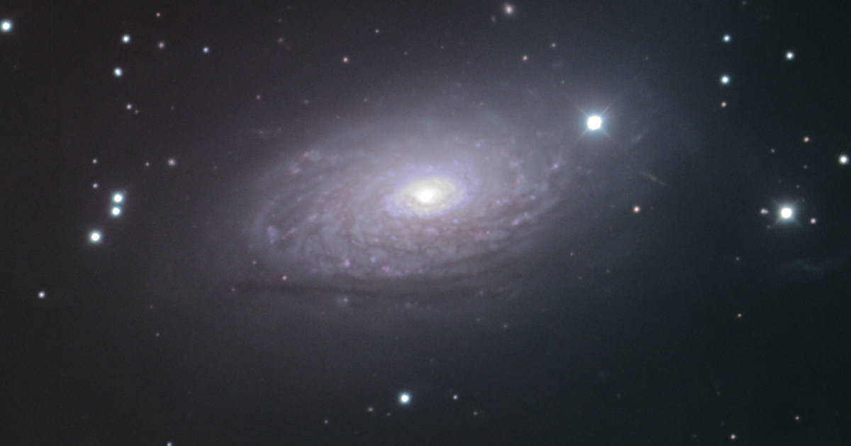 Sunflower Galaxy Telescope Live