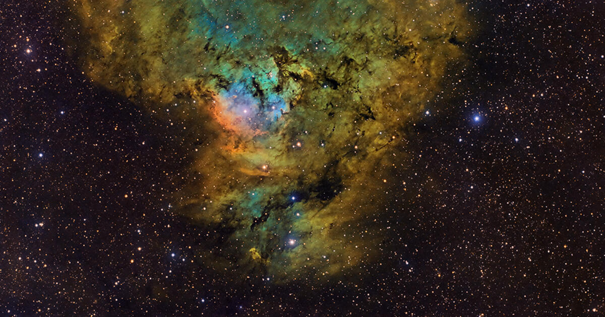 ★NGC準最高鑑定★2021 パラオ　ウルトラカメオ　アーリーリリース NGC 7822 - The Question Mark Nebula | Telescope Live