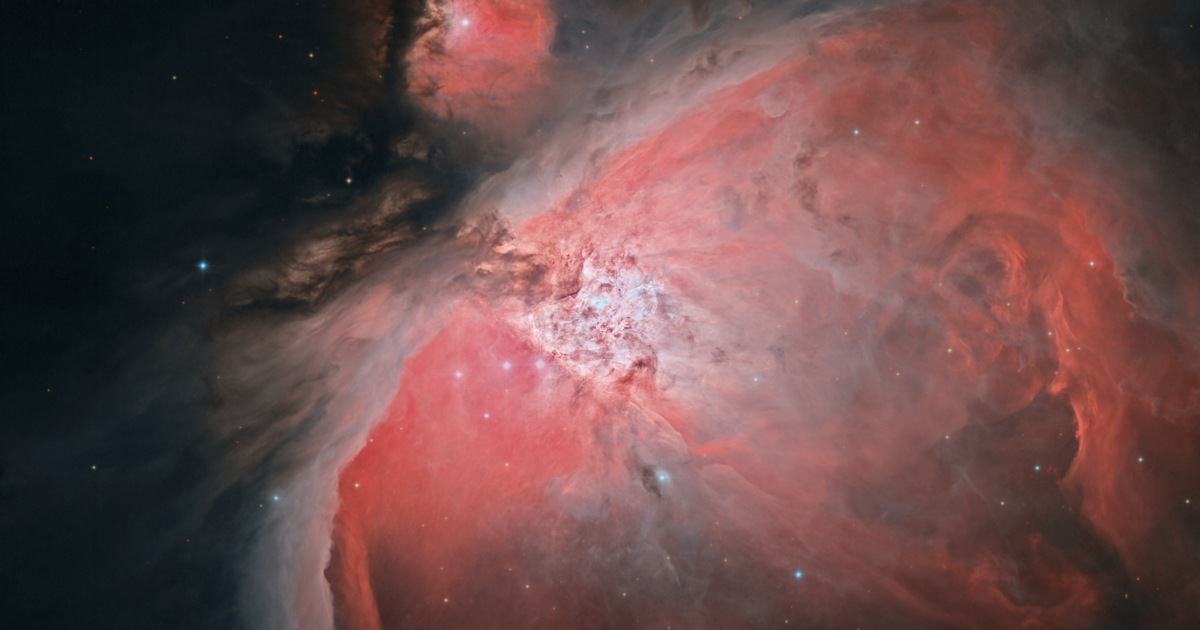 M42 Orion Nebula Telescope Live