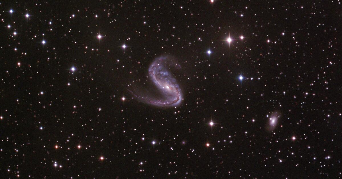 NGC 2442 Telescope Live