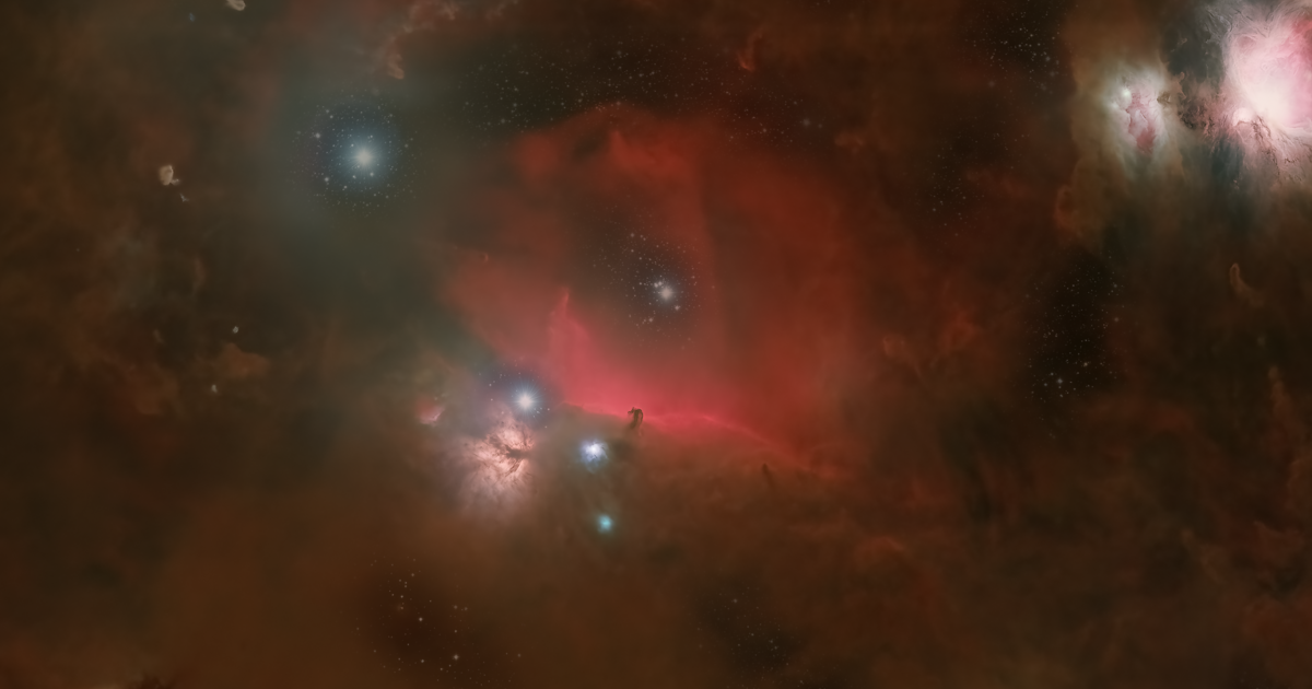 Horsehead Nebula Widefield | Telescope Live