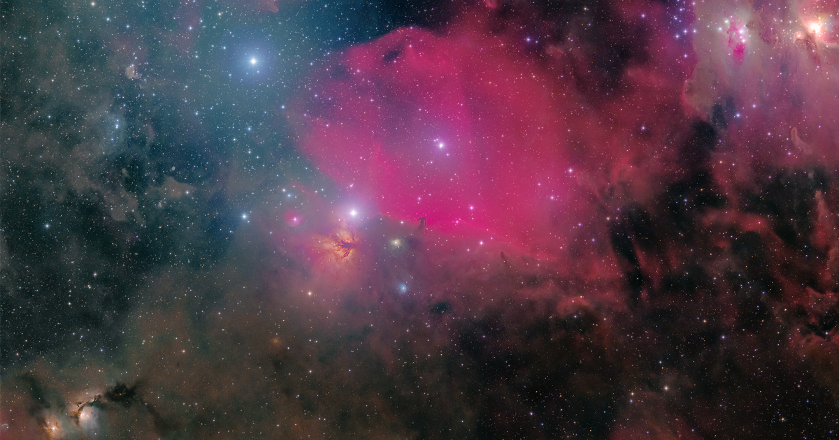 Horsehead Nebula Widefield | Telescope Live