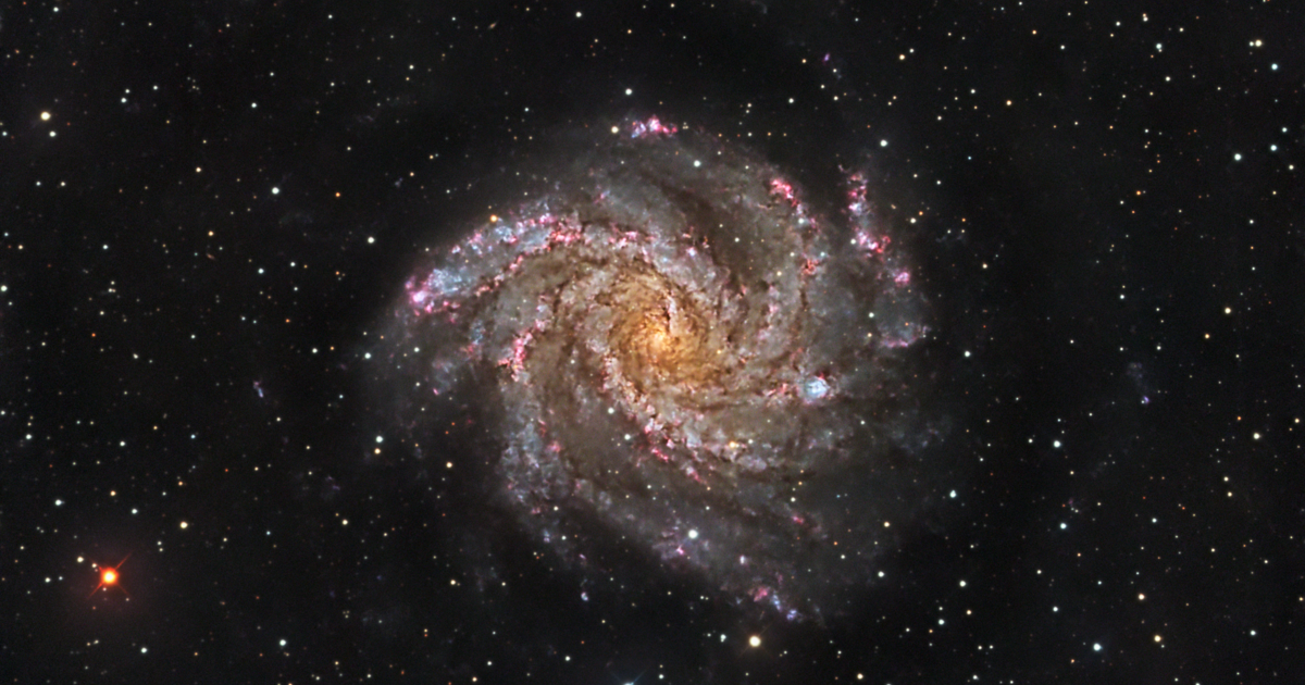 NGC 6946 a.k.a the Fireworks Galaxy | Telescope Live