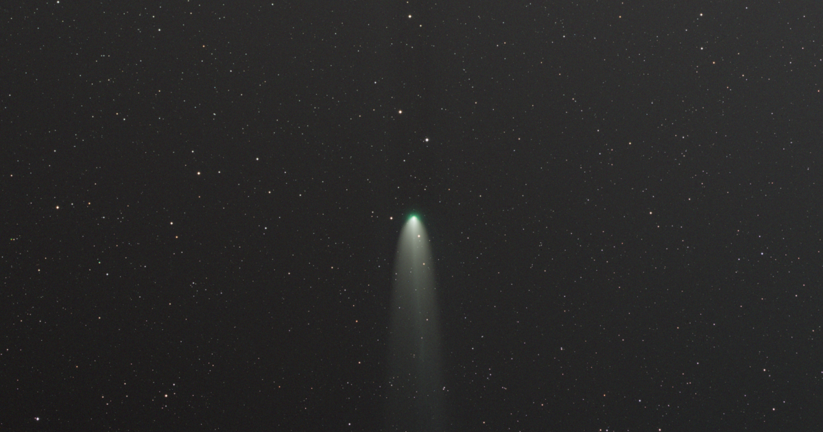 Comet Leonard Telescope Live