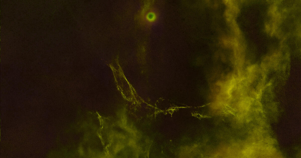 Gamma Velorum Telescope Live