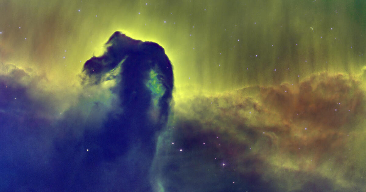 B33 Horsehead Nebula Telescope Live
