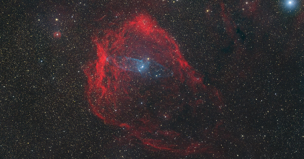 Squid and Flying Bat Nebula (Sh2-129) | Telescope Live