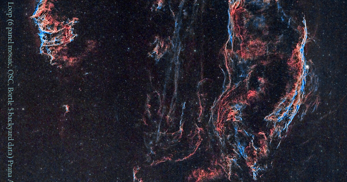 Cygnus_6Panel_Mosaic_StarsDE_a Cygnus_6Panel_Mosaic_StarsDE_a