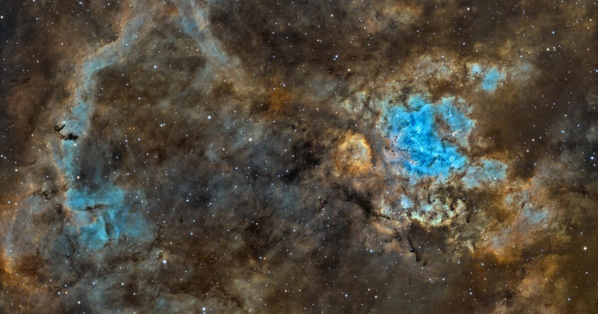 combined_changed_blend_Foraxx_