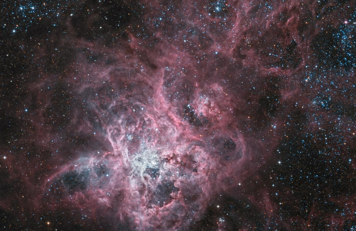 NGC2070  The Tarantula Nebula