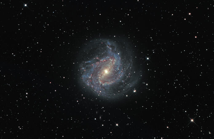 M83 