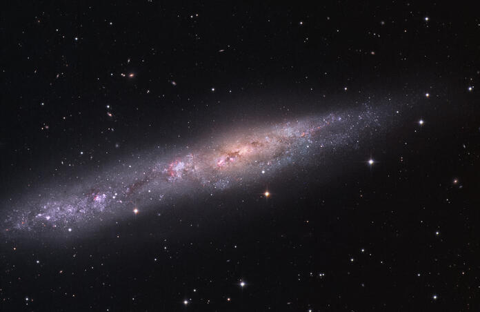 NGC 55 Sculptor barred spiral galaxy