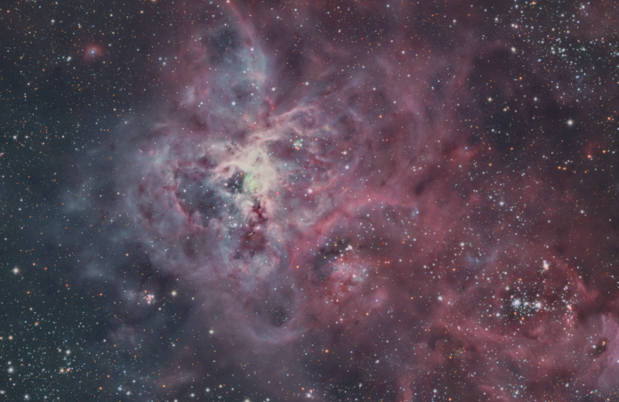 Tarantula Nebula (NGC 2070)