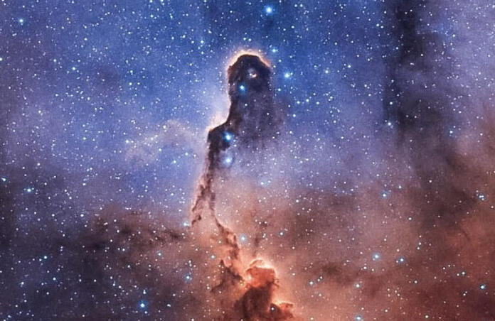 The trunk nebula