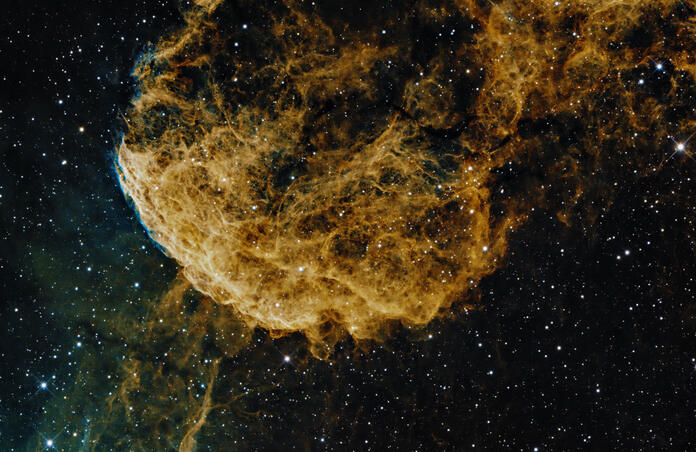 Jellyfish Nebula (IC443)