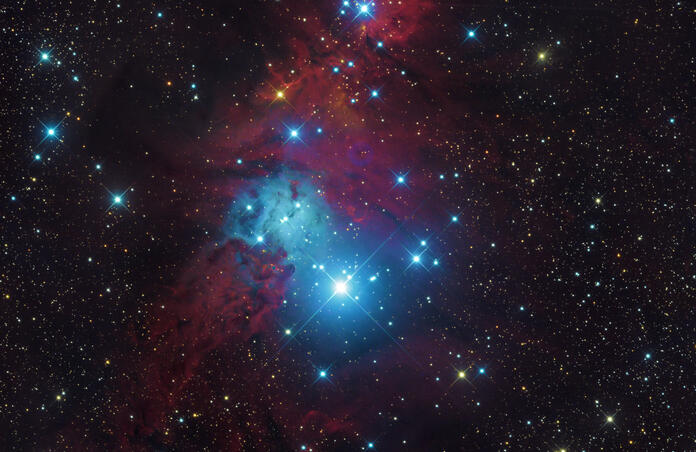 Christmas Tree Cluster & Cone Nebula