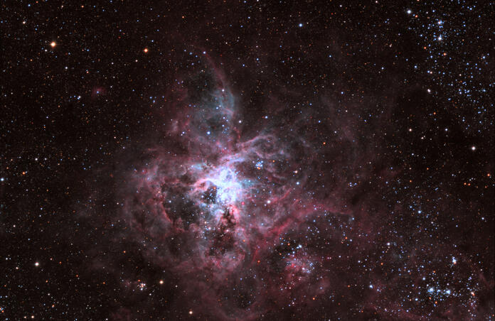 Tarantula nebula