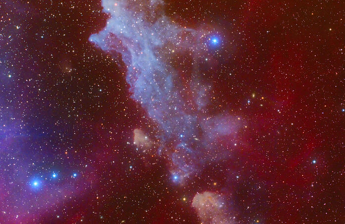 The Witch Head Nebula (IC 2118)