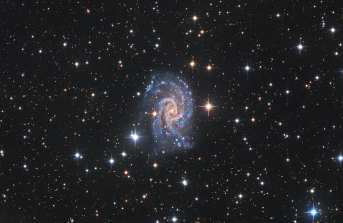 NGC 2835 Originally Captured by Adam Block