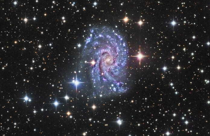 Intermediate spiral galaxy NGC 2835