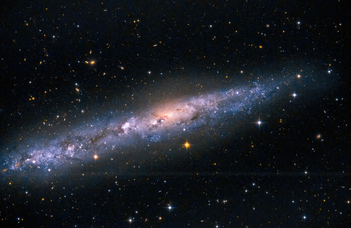 NGC 55 - Pro Data Set