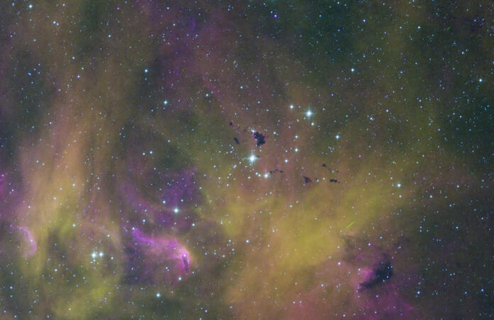 Running Chicken Nebula  - HOS and SHO