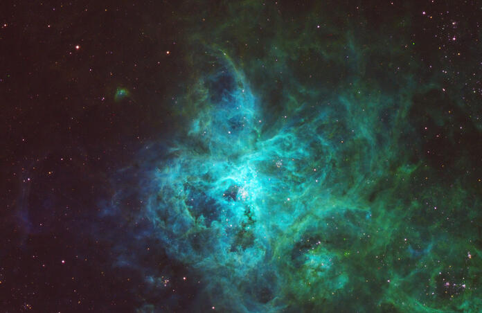 Tarantula Nebula - First Image