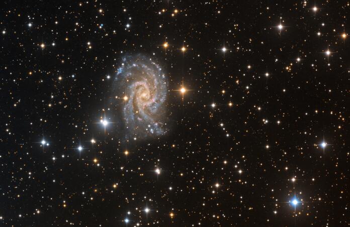 NGC 2835