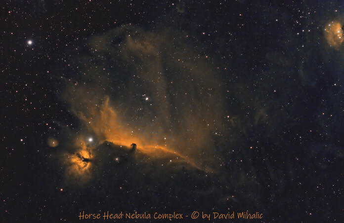 Horse head nebula complex