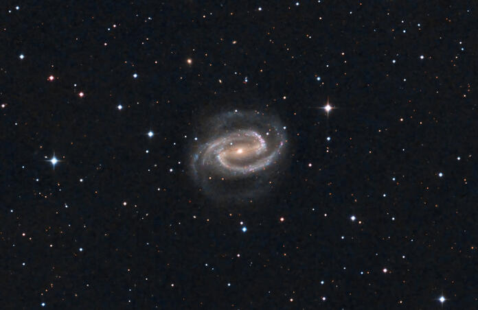 NGC 1300 One-Click Observations