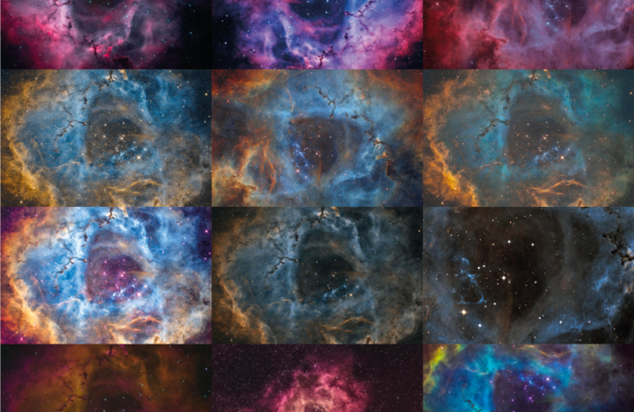 rosette nebula community work