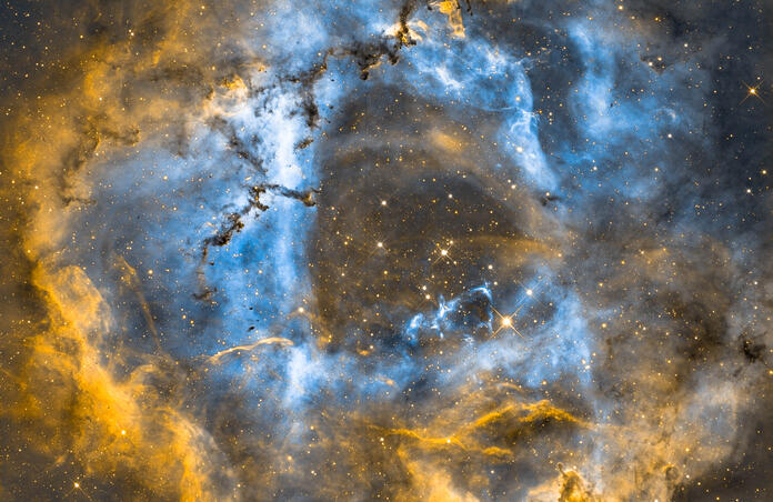 Rosette Nebula Pro Dataset Narrowband SHO