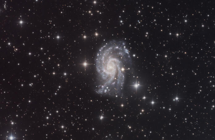 NGC_2835