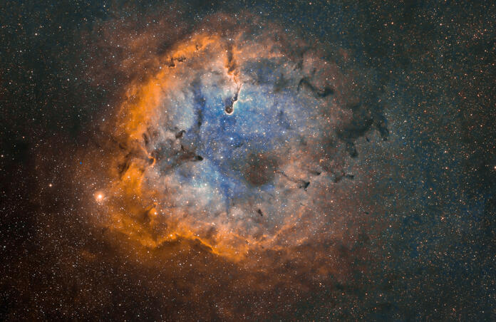 Elephant's Trunk Nebula