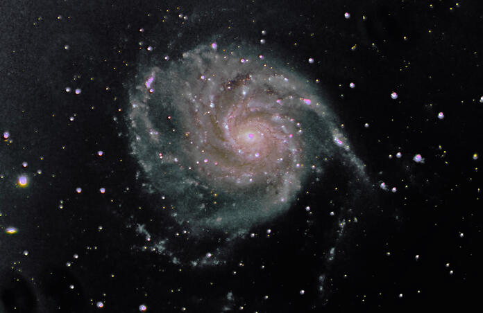 M101